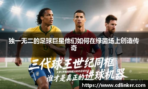独一无二的足球巨星他们如何在绿茵场上创造传奇
